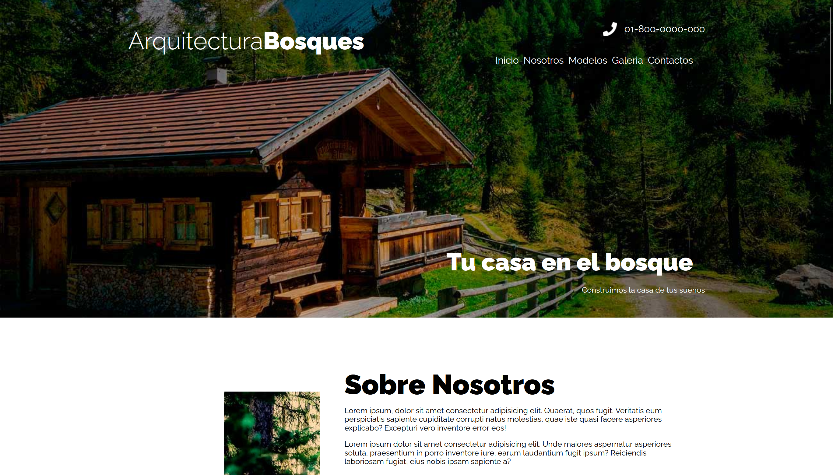 imagen project 1